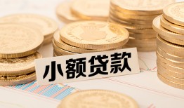 成都1哪里有小额贷款-成都1身份证贷款平台-成都1民间短借