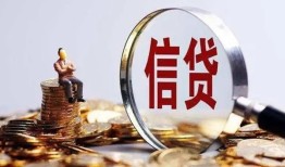 成都1个人借贷私借-成都1个人贷款联系电话-成都1身份证借私借